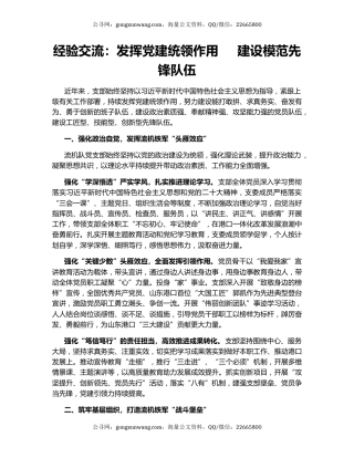 经验交流：发挥党建统领作用     建设模范先锋队伍