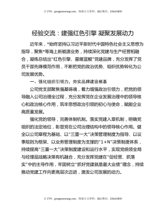 经验交流：建强红色引擎 凝聚发展动力