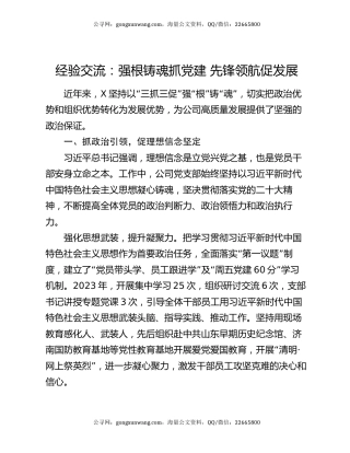 经验交流：强根铸魂抓党建 先锋领航促发展