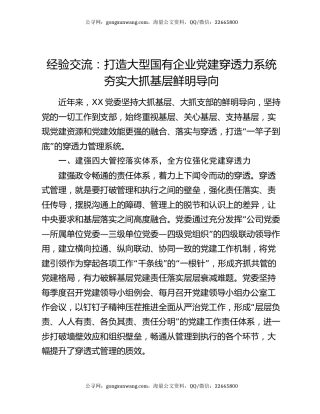 经验交流：打造大型国有企业党建穿透力系统 夯实大抓基层鲜明导向