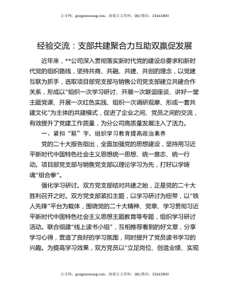 经验交流：支部共建聚合力 互助双赢促发展