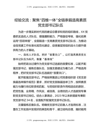 经验交流：聚焦“四维一体” 全链条锻造高素质党支部书记队伍