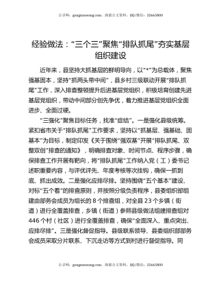 经验做法：“三个三”聚焦“排队抓尾”夯实基层组织建设