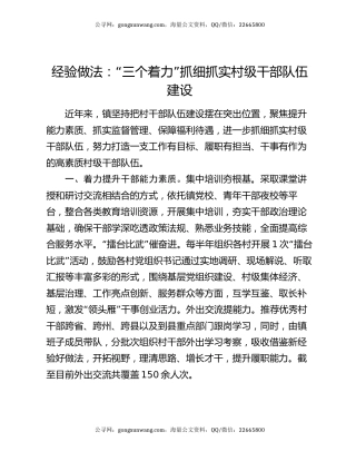 经验做法：“三个着力”抓细抓实村级干部队伍建设