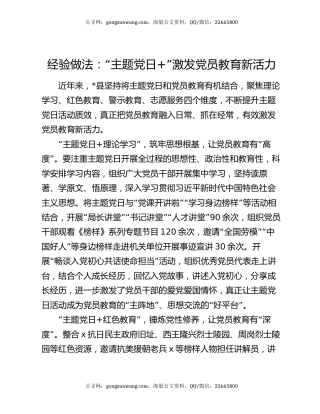 经验做法：“主题党日+”激发党员教育新活力