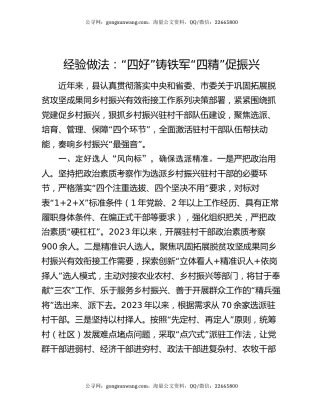 经验做法：“四好”铸铁军 “四精”促振兴