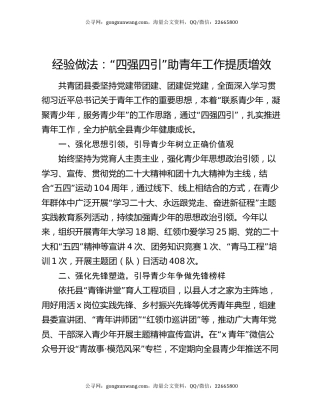 经验做法：“四强四引”助青年工作提质增效