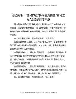 经验做法：“四马齐驱”协同发力 构建“青马工程”全链条育才体系