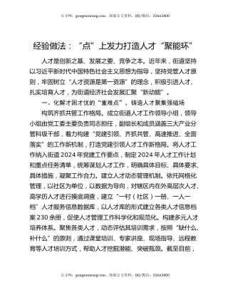 经验做法：“点”上发力 打造人才“聚能环”