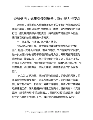 经验做法：党建引领强堡垒，凝心聚力担使命
