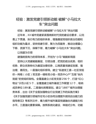 经验：激发党建引领新动能 破解“小马拉大车”突出问题