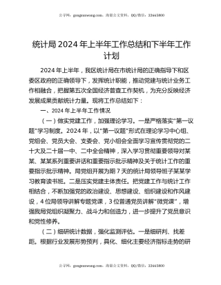 统计局2024年上半年工作总结和下半年工作计划