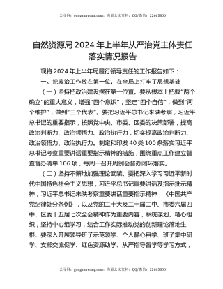 自然资源局2024年上半年从严治党主体责任落实情况报告