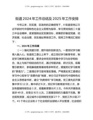 街道2024年工作总结及2025年工作安排（2）