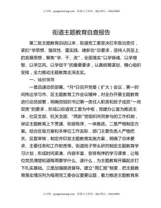 街道主题教育自查报告