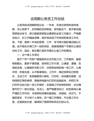 试用期公务员工作总结