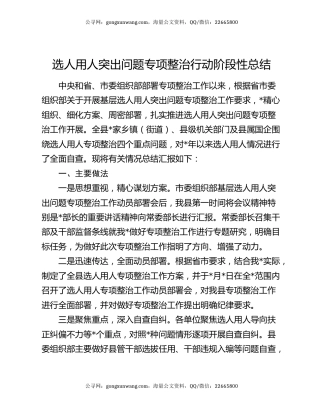 选人用人突出问题专项整治行动阶段性总结