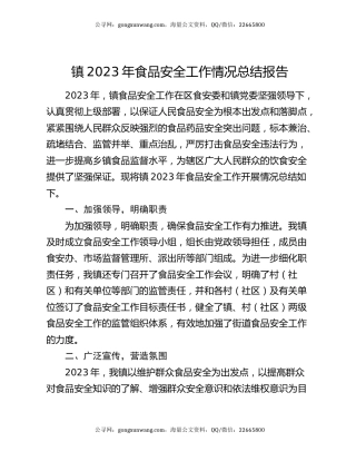 镇2023年食品安全工作情况总结报告
