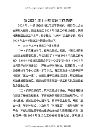 镇2024年上半年党建工作总结