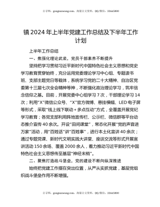 镇2024年上半年党建工作总结及下半年工作计划