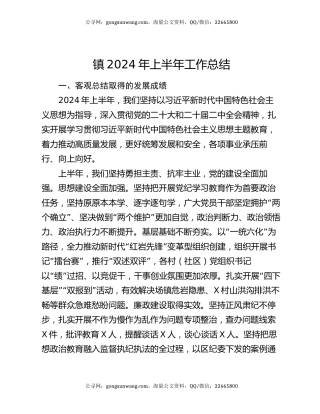 镇2024年上半年工作总结