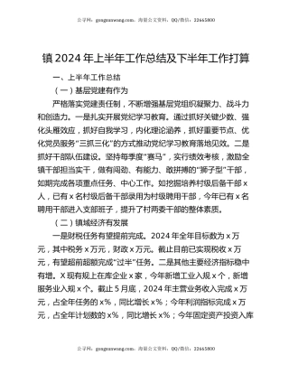 镇2024年上半年工作总结及下半年工作打算
