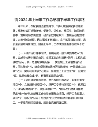 镇2024年上半年工作总结和下半年工作思路