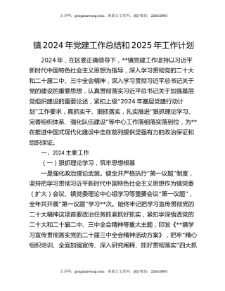 镇2024年党建工作总结和2025年工作计划