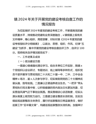 镇2024年关于开展党的建设考核自查工作的情况报告