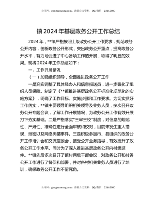 镇2024年基层政务公开工作总结