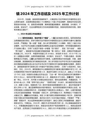 镇2024年工作总结及2025年工作计划