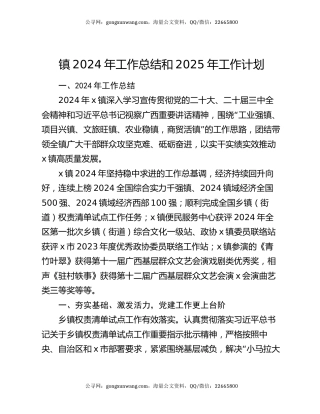 镇2024年工作总结和2025年工作计划
