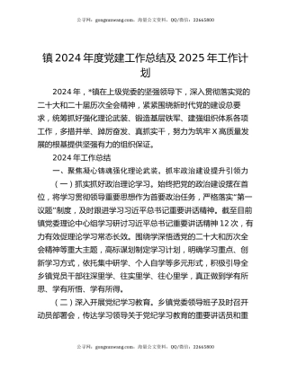 镇2024年度党建工作总结及2025年工作计划