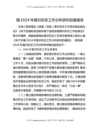 镇2024年意识形态工作分析研判自查报告