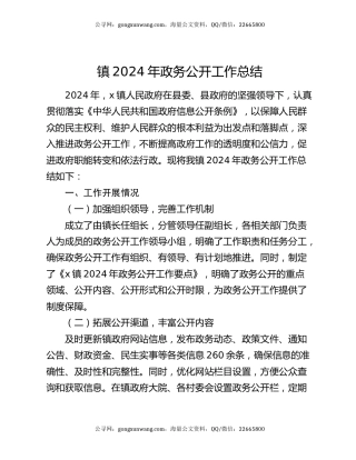 镇2024年政务公开工作总结