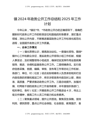 镇2024年政务公开工作总结和2025年工作计划