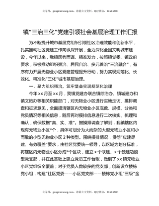 镇“三治三化”党建引领社会基层治理工作汇报