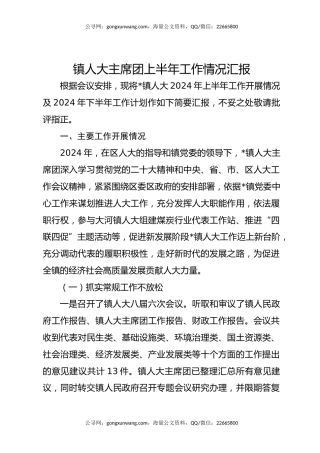 镇人大主席团上半年工作情况汇报