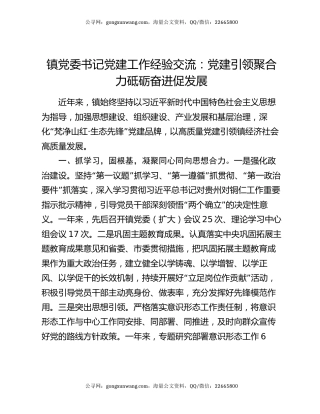 镇党委书记党建工作经验交流：党建引领聚合力  砥砺奋进促发展