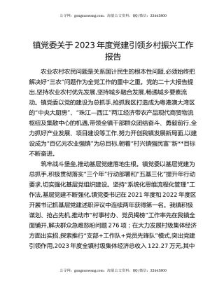 镇党委关于2023年度党建引领乡村振兴工作报告
