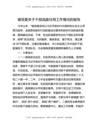 镇党委关于干部选拔任用工作情况的报告