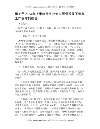 镇关于2024年上半年经济社会发展情况及下半年工作安排的报告