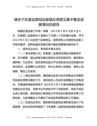 镇关于区委巡察组巡察镇反馈意见集中整改进展情况的报告