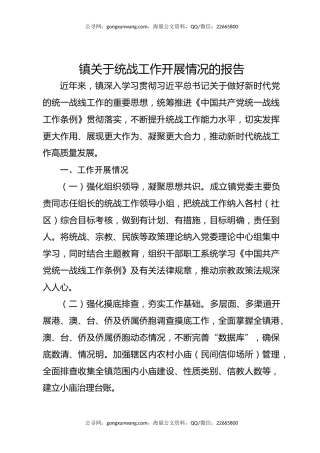 镇关于统战工作开展情况的报告