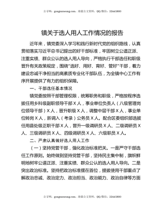 镇关于选人用人工作情况的报告