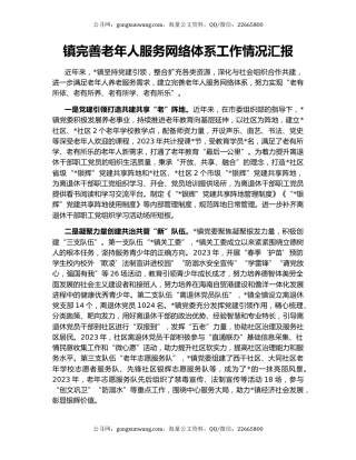 镇完善老年人服务网络体系工作情况汇报