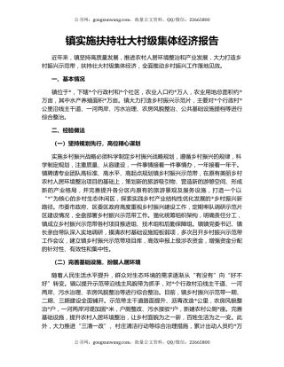 镇实施扶持壮大村级集体经济报告