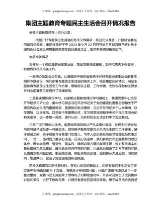 集团主题教育专题民主生活会召开情况报告