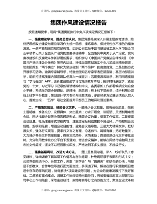 集团作风建设情况报告