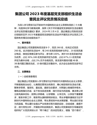 集团公司2023年度基层党支部组织生活会暨民主评议党员情况总结